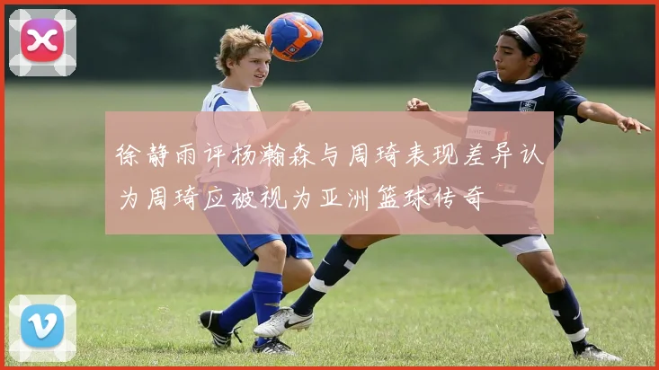徐静雨评杨瀚森与周琦表现差异认为周琦应被视为亚洲篮球传奇