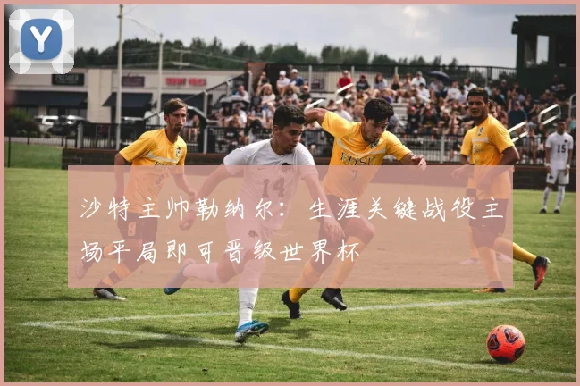 沙特主帅勒纳尔：生涯关键战役主场平局即可晋级世界杯